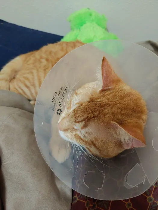 SNIP of Texas Spay/Neuter 12