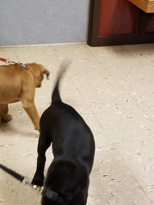 Trinity Animal Hospital 12