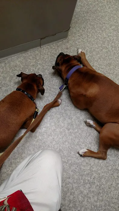 Dayton Veterinary Clinic 12