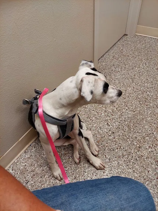 Dayton Veterinary Clinic 12