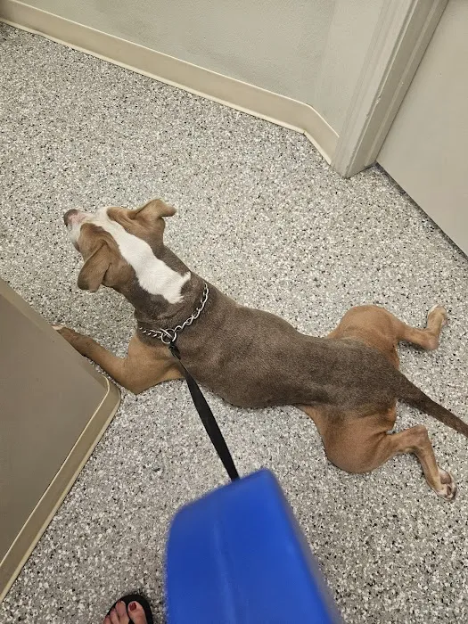 Dayton Veterinary Clinic 12