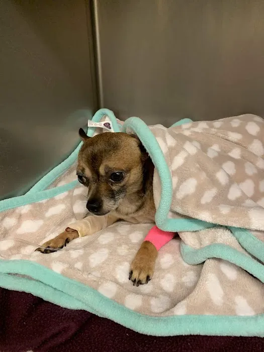 Dayton Veterinary Clinic 12