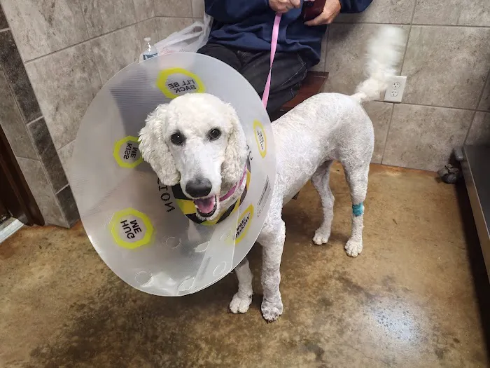 Winnie Veterinary Clinic 2