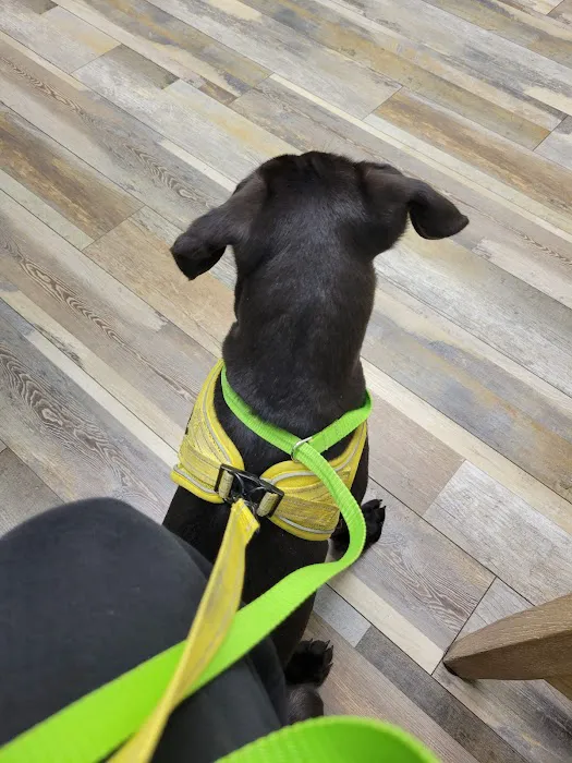 Egret Bay Veterinary Hospital 12