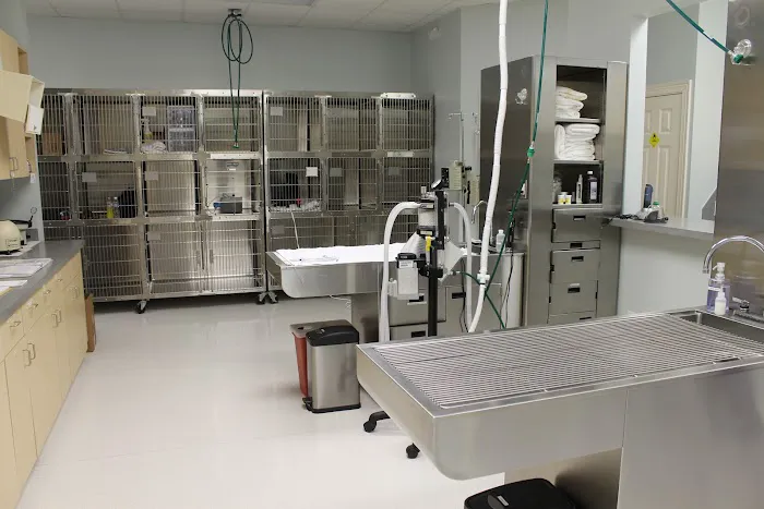 Egret Bay Veterinary Hospital 12