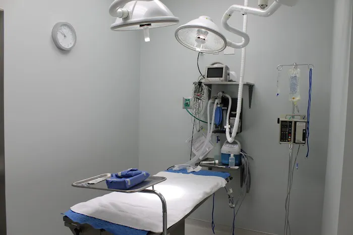 Egret Bay Veterinary Hospital 12