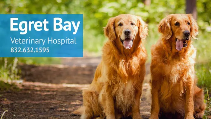 Egret Bay Veterinary Hospital 12