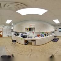 Animal Kingdom Pet Hospital ico