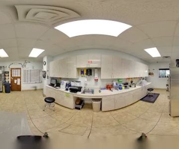 Animal Kingdom Pet Hospital