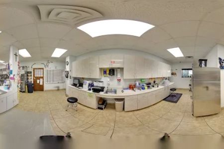 Animal Kingdom Pet Hospital