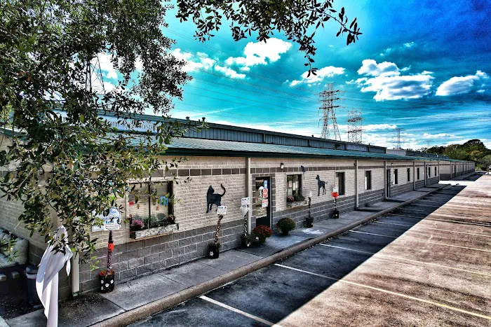 Animal Kingdom Pet Hospital 12