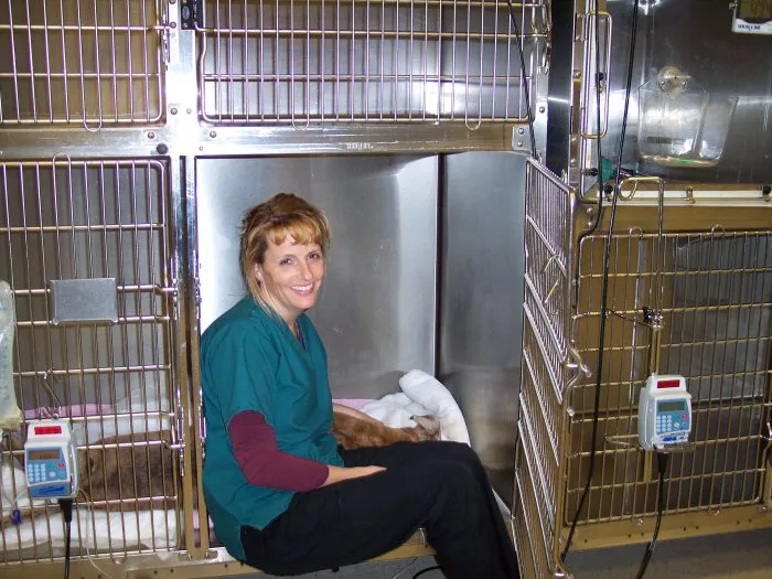 VCA Animal Emergency Hospital Southeast Calder Road 12
