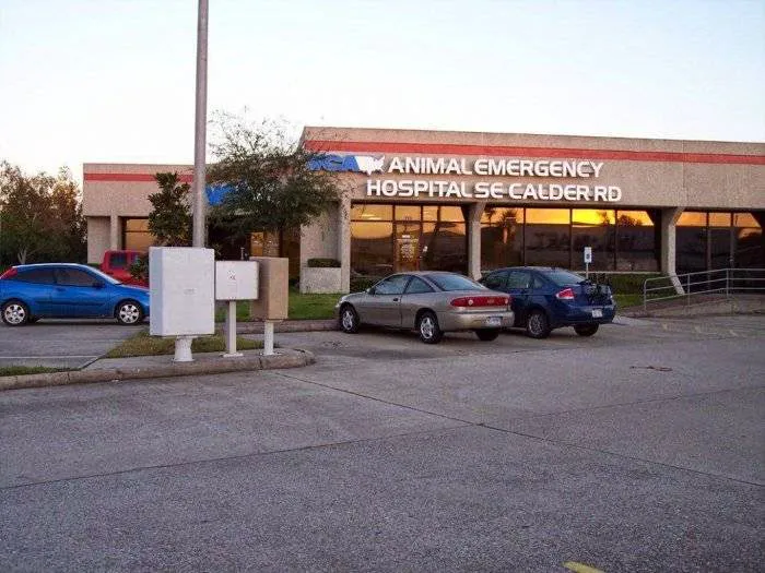 VCA Animal Emergency Hospital Southeast Calder Road 12