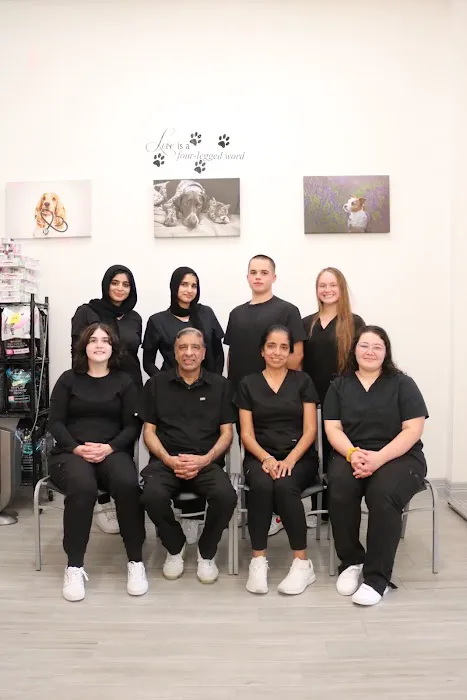 WellCare Pet Clinic 12