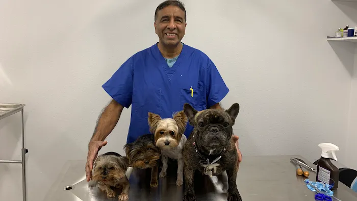 WellCare Pet Clinic 12