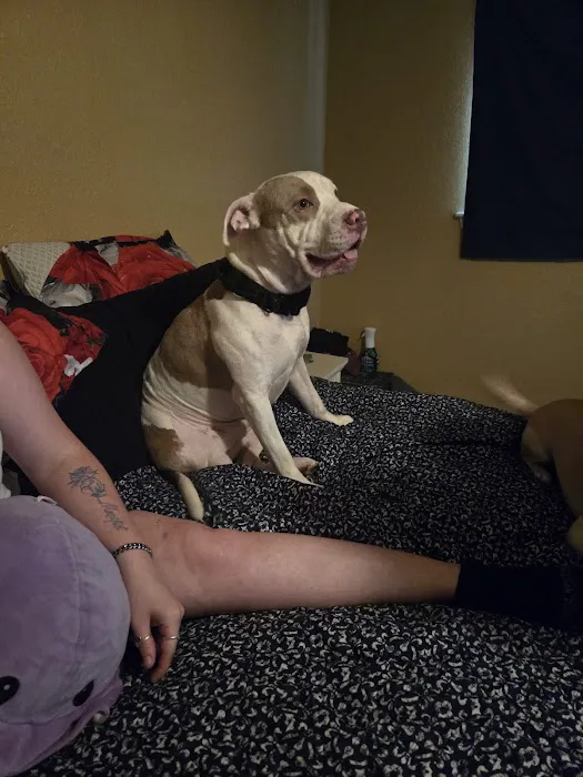 Baylor Animal Clinic 12
