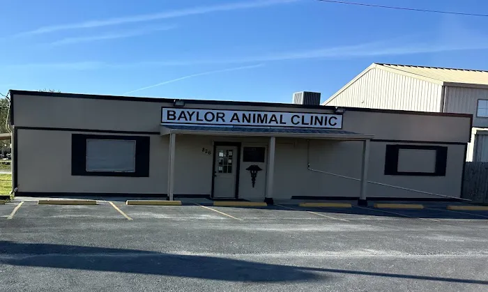 Baylor Animal Clinic 12