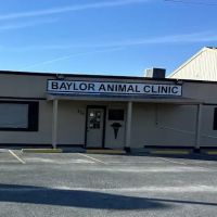 Baylor Animal Clinic ico