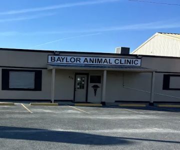 Baylor Animal Clinic