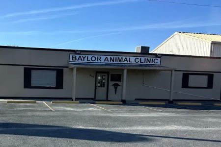 Baylor Animal Clinic