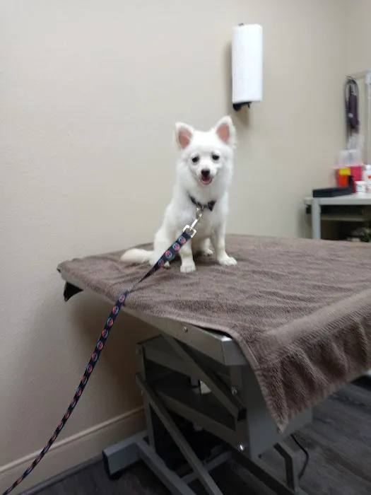 Baylor Animal Clinic 12
