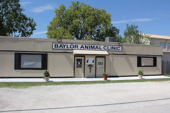 Baylor Animal Clinic 12