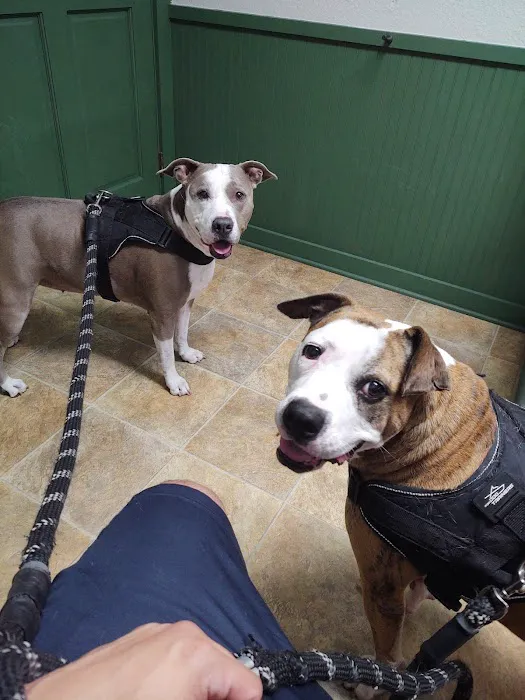 Manvel Animal Clinic 12