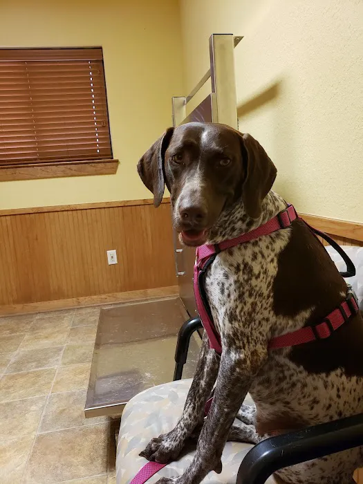 Manvel Animal Clinic 12