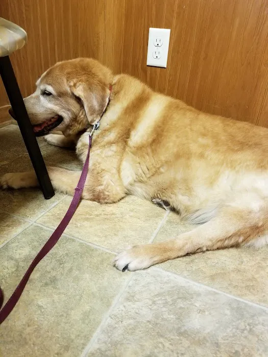 Manvel Animal Clinic 12