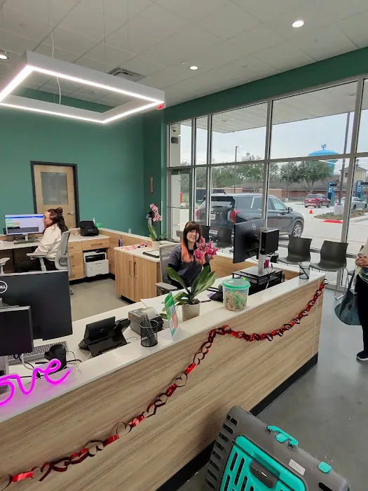 Magnolia Creek Animal Hospital 12