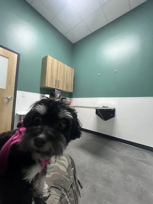 Magnolia Creek Animal Hospital 12