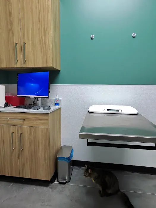 Magnolia Creek Animal Hospital 12