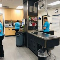 Banfield Pet Hospital ico