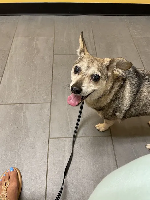 Banfield Pet Hospital 12