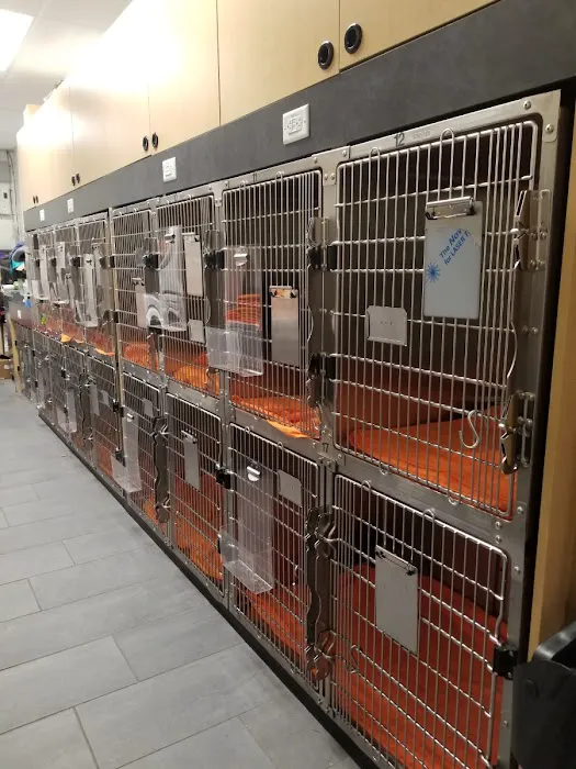 Banfield Pet Hospital 12