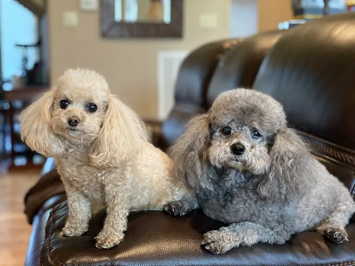 Cypress Lakes Animal Hospital 12