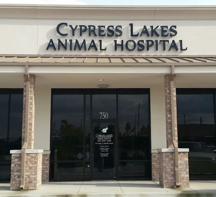 Cypress Lakes Animal Hospital 12