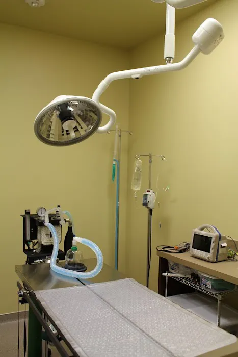 Cypress Lakes Animal Hospital 12