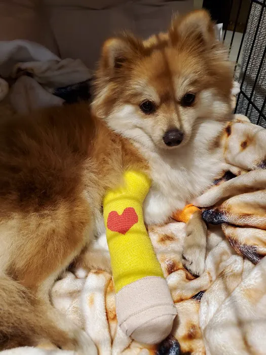 True Companion Veterinary Care 12