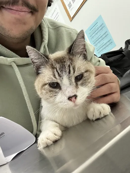 VCare animal clinic 12