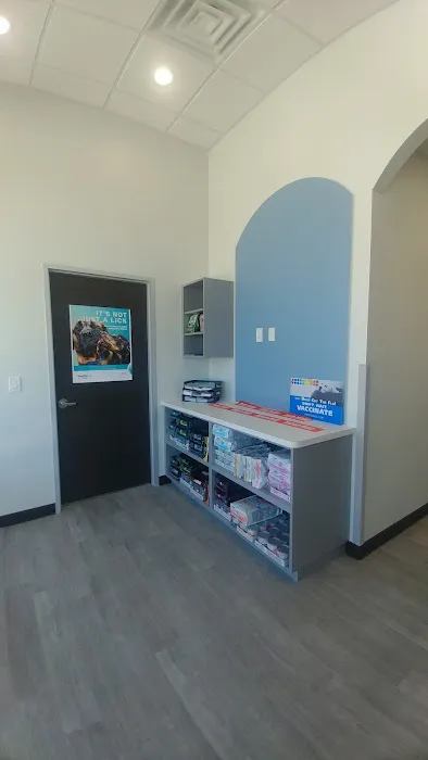 VCare animal clinic 12