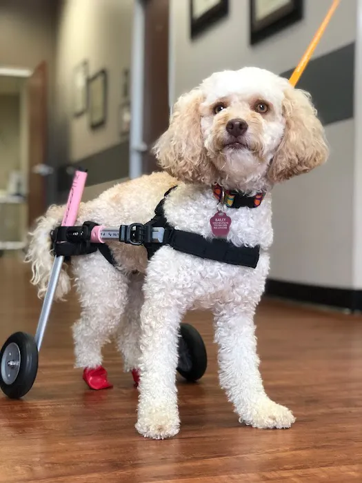 Animal ER of Northwest Houston 12