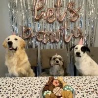 Fairfield Animal Hospital ico