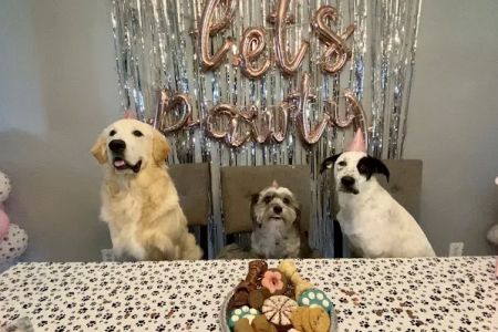 Fairfield Animal Hospital