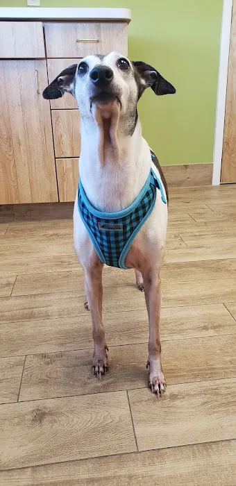 Fairfield Animal Hospital 12