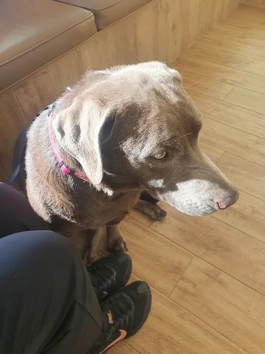 Fairfield Animal Hospital 12