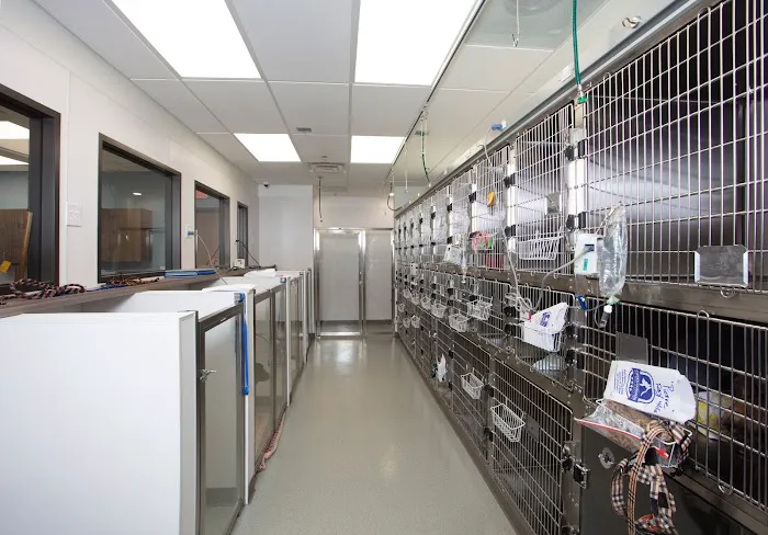 Cypress Fairhaven Animal Hospital 12