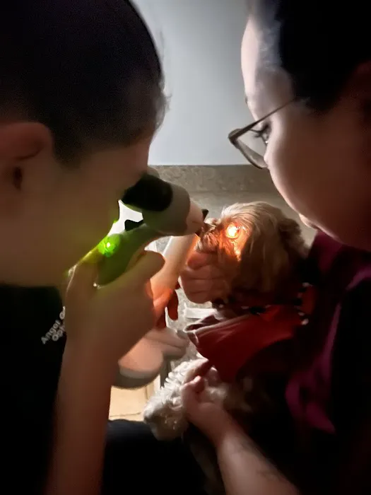 Envision More Veterinary Ophthalmology 12