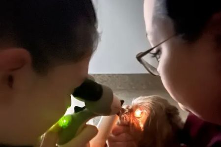 Envision More Veterinary Ophthalmology