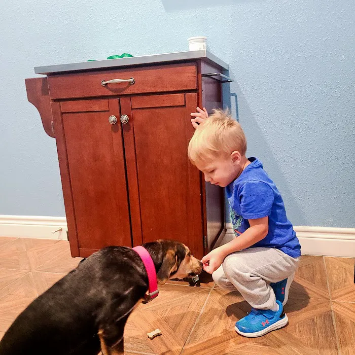 The Oaks Veterinary Clinic 12